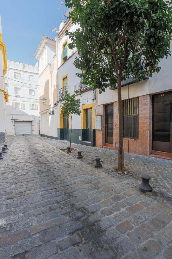 Apartamento San Diego Catedral Seville Exterior photo